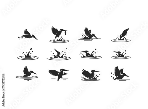 Kingfisher Bird Fishing Water Splash Icons.
