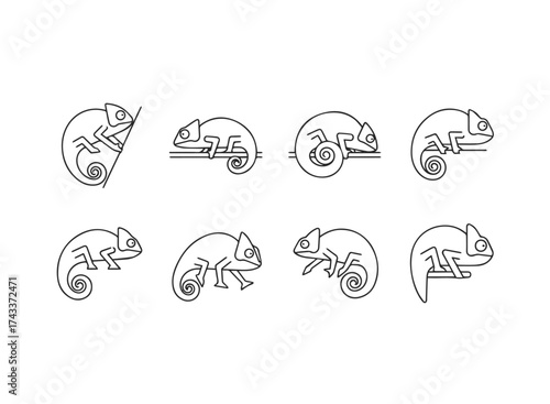 Set of Stylized Chameleon Line Art Icons.