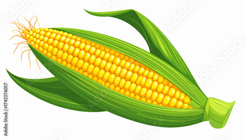 Illustration of a ripe ear of corn with bright yellow kernels, partially husked with green leaves, isolated on white.