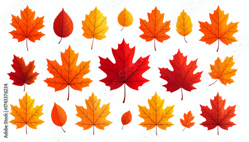 A vibrant collection of autumn leaves in various shades of red, orange, and yellow, showcasing the beauty of fall foliage.