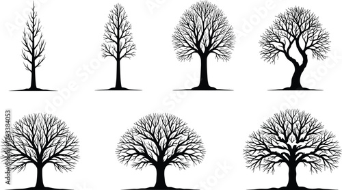 Silhouette, tree, winter, leafless, forest, nature, black, isolated, vector, illustration, bare, branches, graphic, design, seasonal, minimal, shape, outline, botanical, landscape