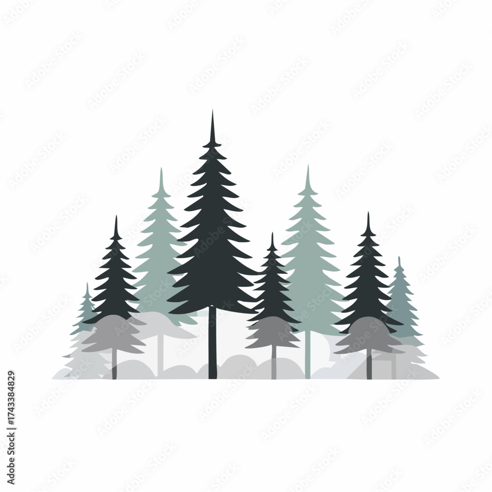 Fototapeta premium Misty morning in Evergreen Forest with silhouette of tall Pine Trees