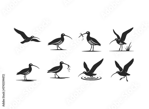 Collection of Stylized Shorebird Silhouettes.
