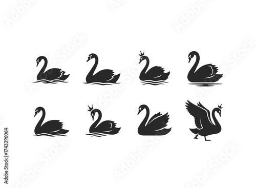 Elegant Black Swan Silhouette Collection.