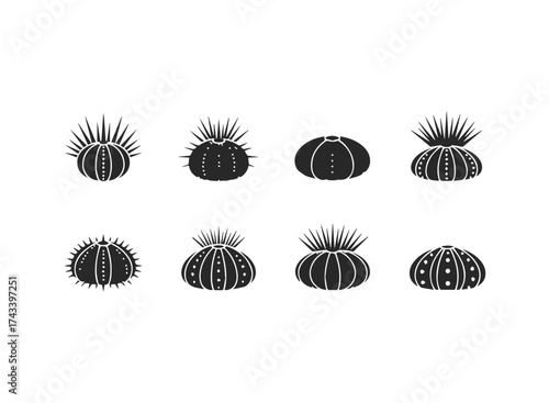 Set of Stylized Sea Urchin Silhouettes.