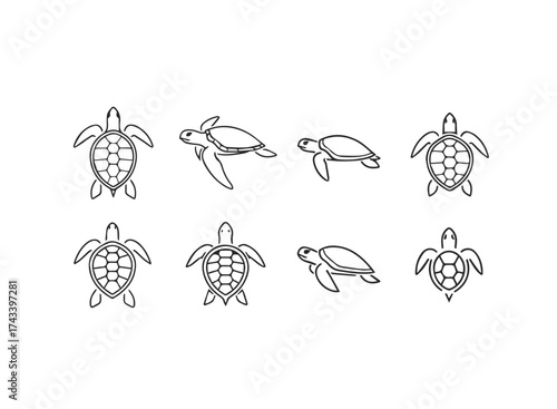 Set of stylized sea turtle line art icons.