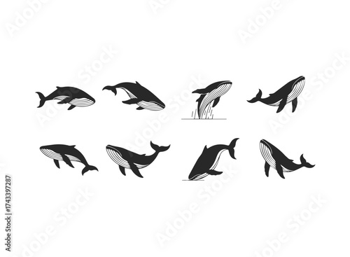 Set of Stylized Whale Silhouettes in Various Poses.