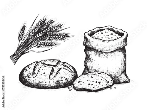 Bread and Wheat Vintage Engraved Harvest Scene Illustration Vector