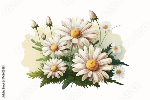 A beautiful watercolor illustration of a bouquet of daisies with delicate green leaves on an isolated white background. Perfect for floral design, greeting cards, wedding invitations, and decorative 