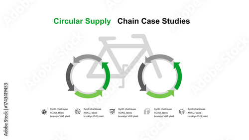 Circular Supply Chain Case Studies Cycle of Sustainability