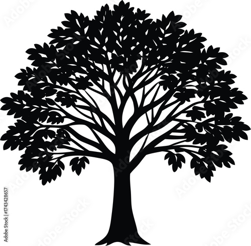 Vector art of silhouette of a large, mature deciduous tree with a full canopy of leaves, isolated on a
