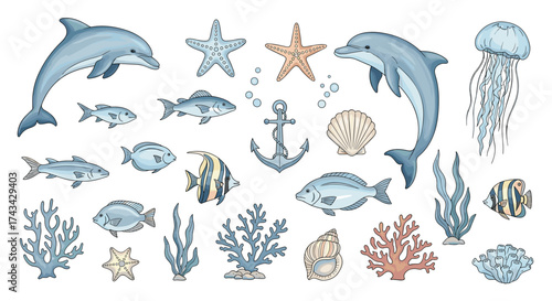 A delightful collection of marine life and ocean elements for aquatic themed designs.