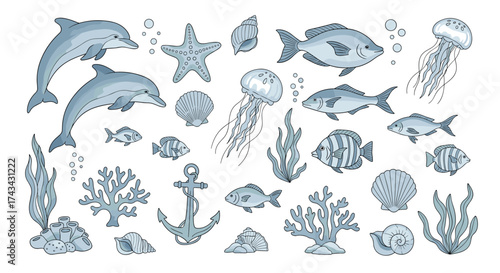 A collection of colorful marine life and underwater objects including dolphins fish starfish and coral reefs.