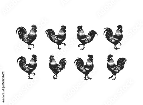 Collection of Stylized Roosters Silhouettes.