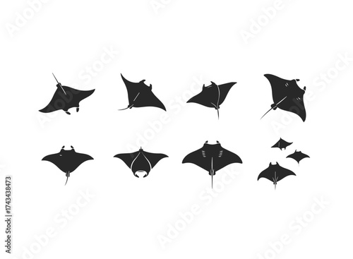 Diverse Manta Ray Silhouettes Collection.