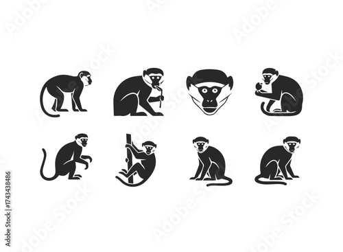 Diverse Monkey Poses Silhouette Collection.