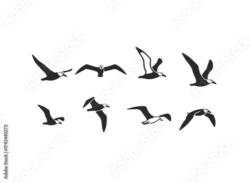 Set of Flying Seagull Silhouettes.