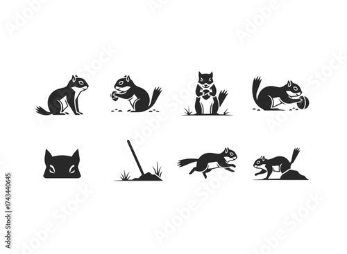 Set of Stylized Squirrel Icons and Graphics.
