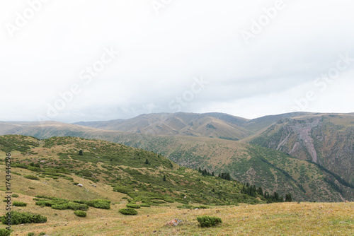 Scenic Woodland in Central Asia, Kazakhstan