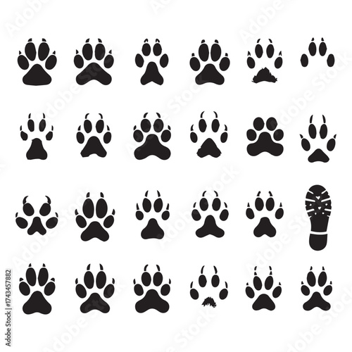 Assortment of Black Animal Paw Prints and a Single Shoe Print on White Background footprint animal track