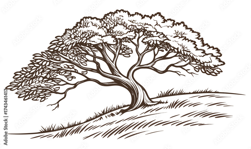 Fototapeta premium vector illustration of a tree