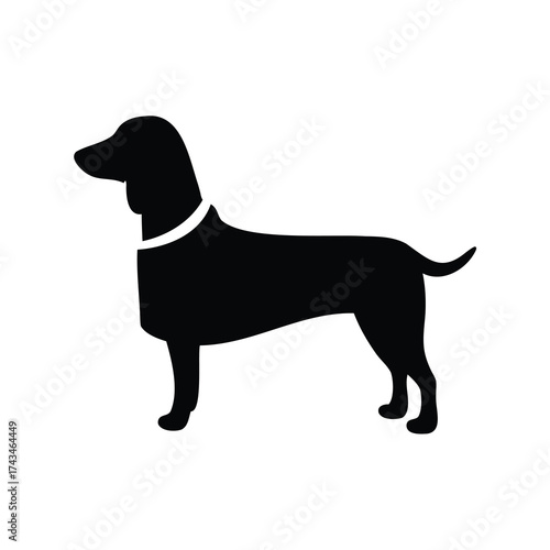 A striking black silhouette of a dog with a collar standing calmly