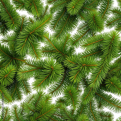 Lush green fir tree branch overlay, nature's texture
