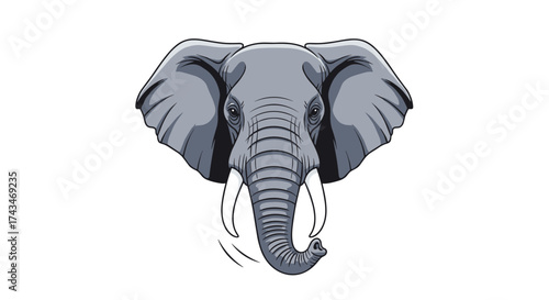 A close up illustration of an elephants head with tusks and trunk