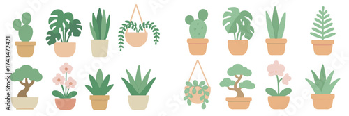 Indoor plants in various pots arranged in a simple design with diverse shapes and colors
