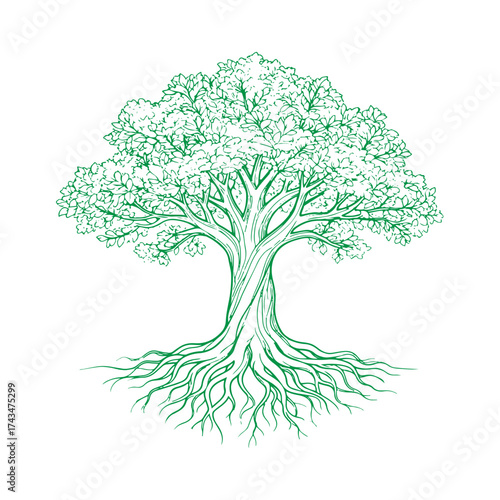 Tree of Life — green linear illustration on a white background