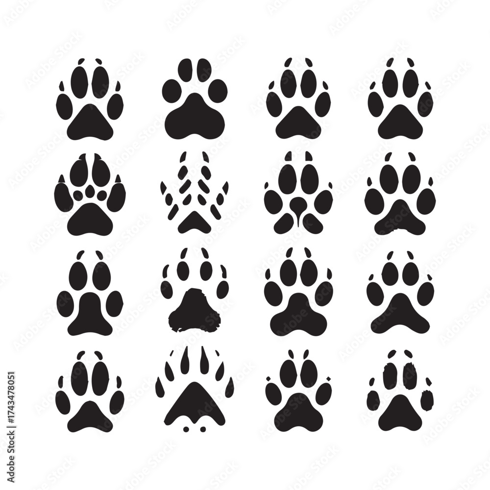 Fototapeta premium Grid of Sixteen Black Animal Paw Print Silhouettes on White Background footprint animal tracks