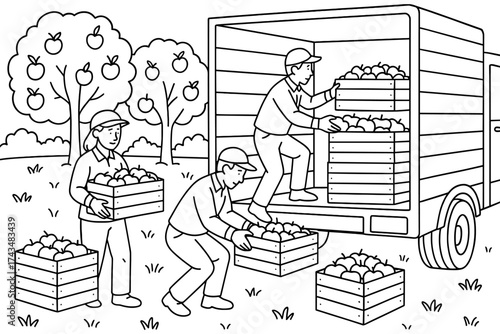 Harvest truck coloring page, apple harvest, fruit crates, workers loading, delivery truck, orchard trees