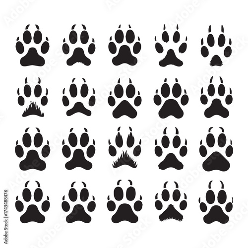Twenty black animal paw prints and tracks arranged in a grid on a white background animal track