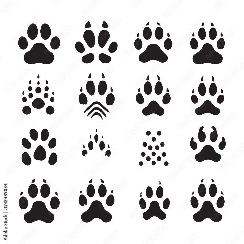 Fototapeta premium Variety of black silhouette animal paw prints and abstract patterns on a white background animal track