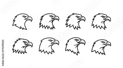 Collection of stylized eagle head profile views hand drawn sketch artistic design elements vector