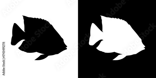 Silhouettes of two contrasting fish, one black on white and the other white on black, illustrating duality and opposition against a split background, ideal for graphic design concepts