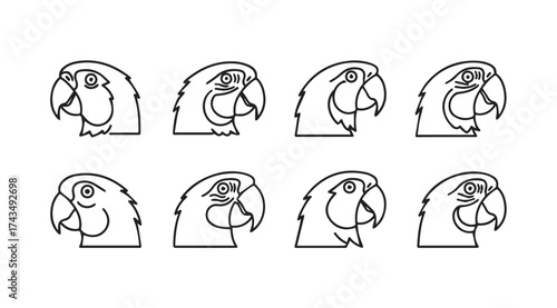 Collection of hand drawn parrot heads showing different profiles and expressions vector