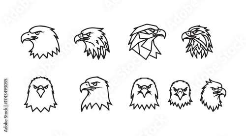 Collection of majestic eagle heads hand drawn sketch style realistic portraiture vector
