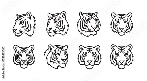 Collection of eight expressive tiger head line art portraits in various poses and angles vector