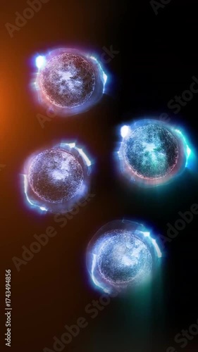 Cells of a living organism divide, clearly demonstrating the process of uncontrollable growth and reproduction of cells and bacteria.
