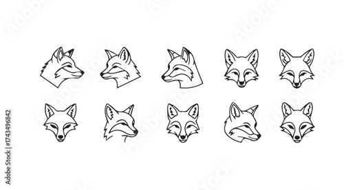 Collection of artistic fox head sketches diverse expressions and poses for wildlife art vector