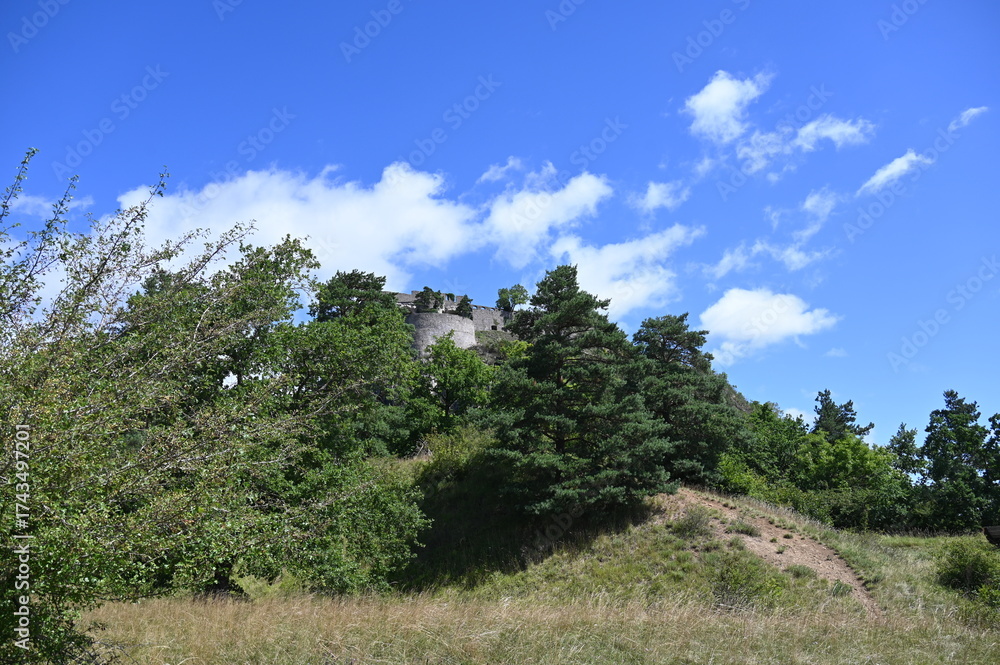 Fototapeta premium Naturschutzgebiet Hohentwiel, Trockenrasen