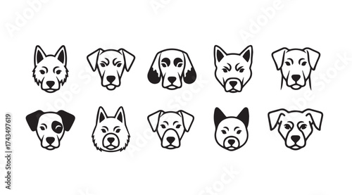 Set of ten diverse dog breed head portraits expressing different emotions and personalities vector