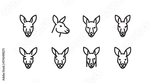 Collection of kangaroo head sketches representing different expressions and poses stylized art vector