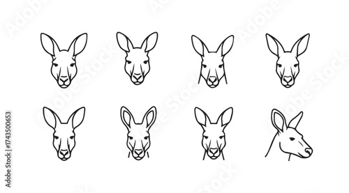 Collection of eight hand-drawn kangaroo head sketches in black ink line art style vector