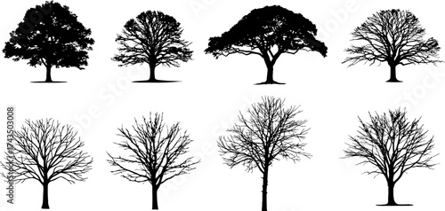 Tree Line Icon – Nature, Environment, and Growth Symbol Vector