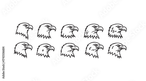 Collection of ten eagle head profile drawings dynamic angles majestic bird of prey graphics vector