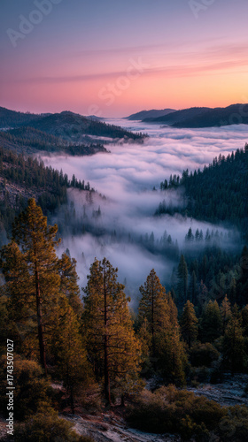 Misty mountain valley sunrise, fog filling pine forest canyon, pastel sky glow, peaceful morning atmosphere