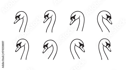 Elegant swan head study various angles artistic sketch isolated on vector