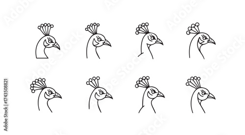 Collection of eight hand drawn sketch styles of elegant peacock heads facing left vector